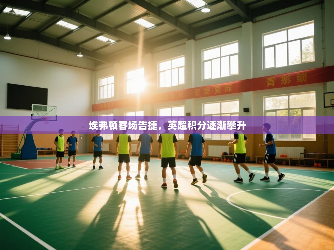 埃弗顿客场告捷,英超积分逐渐攀升 第1张