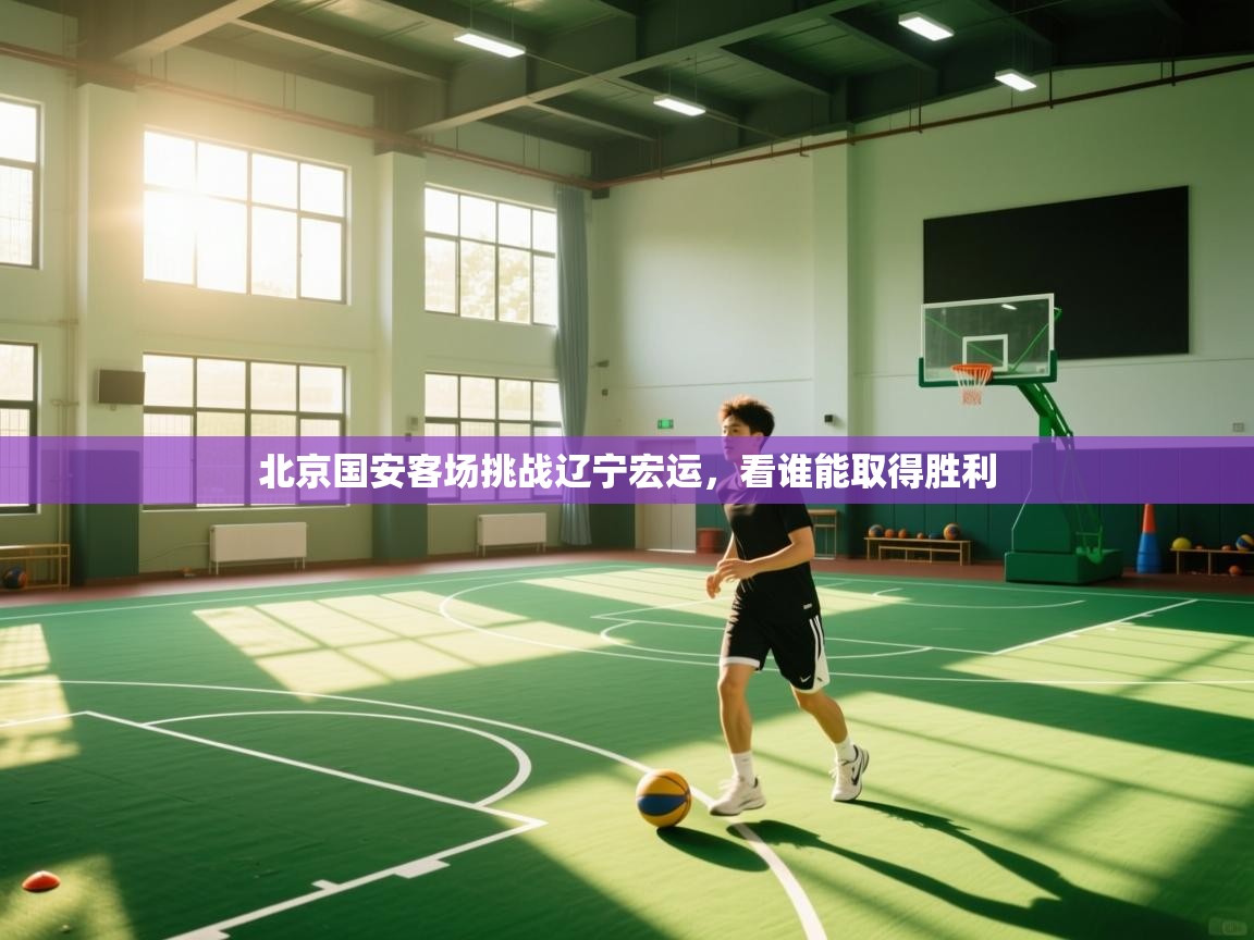 北京国安客场挑战辽宁宏运，看谁能取得胜利  第1张