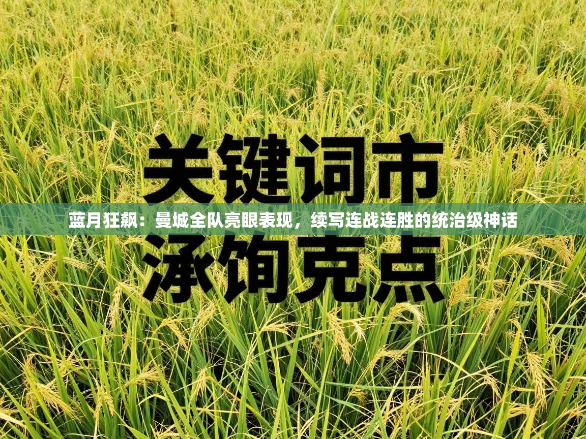 蓝月狂飙：曼城全队亮眼表现，续写连战连胜的统治级神话  第2张