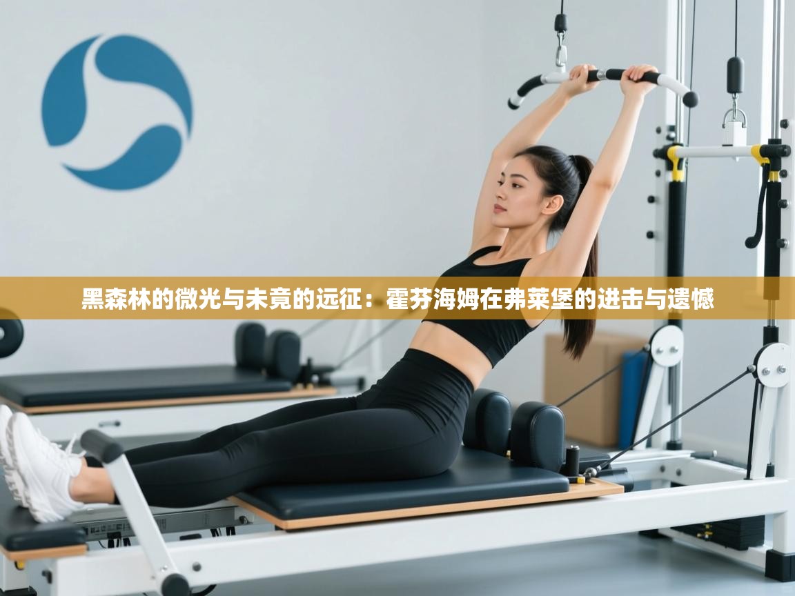 黑森林的微光与未竟的远征：霍芬海姆在弗莱堡的进击与遗憾  第2张