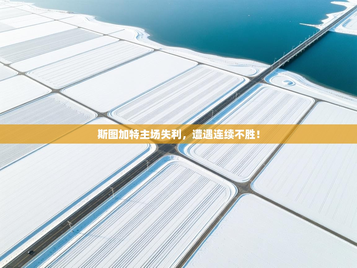 斯图加特主场失利，遭遇连续不胜！  第2张