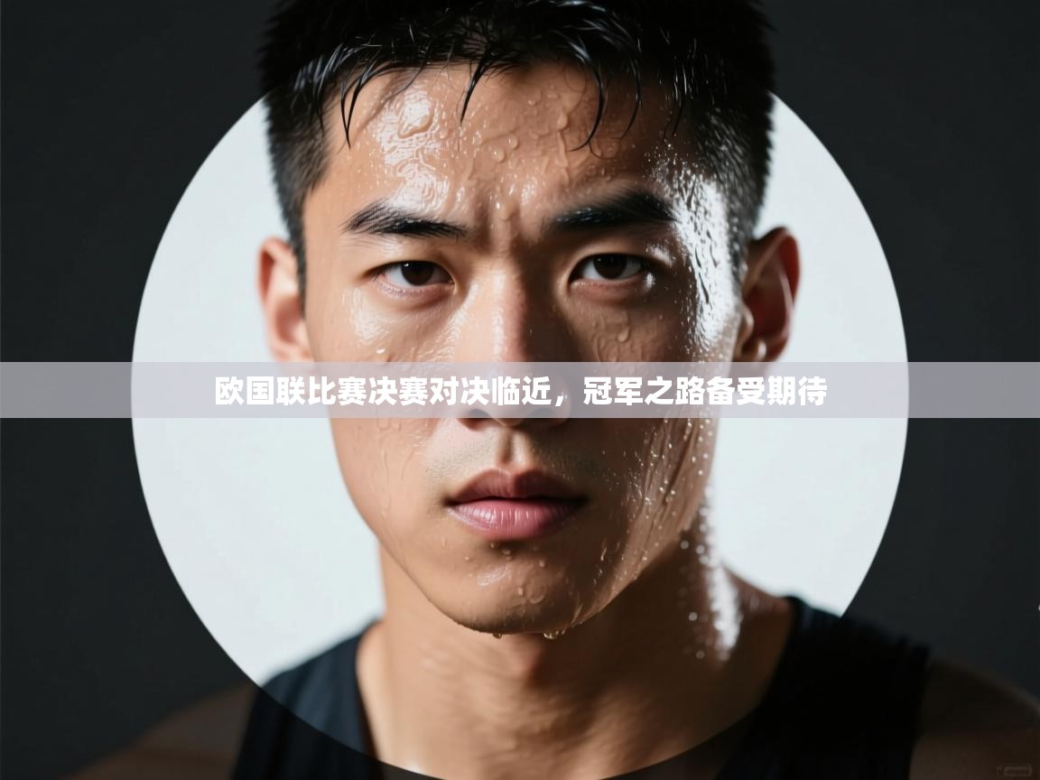 欧国联比赛决赛对决临近，冠军之路备受期待  第2张